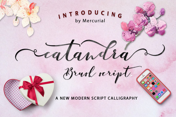 Catandra Script: A Handmade Modern Script Font for Thoughtful Design