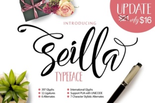 Seilla Script: A Modern Lettering Typeface for Small Business Branding